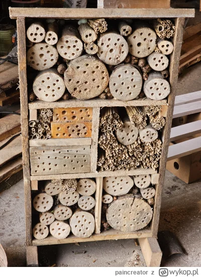 paincreator - @Zbieraczchru dzikie pszczoły nie maja aż takich problemów z varozza cz...