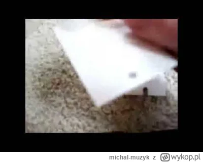 michal-muzyk - #testoviron Kuhwa boże zajebe cie,nowe okulary od versaczego rozwaliłe...