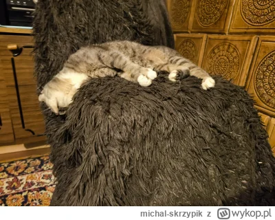 michal-skrzypik - Helga