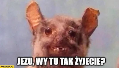 b.....n - @ZawodowyMacherOdLosu: