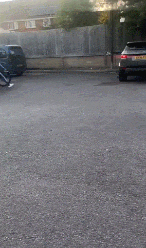 wfyokyga - Śmiechu warte 5