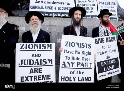 Smol_PP - @zbiff: Największym plot twistem jest to, że ortodoksyjni żydzi są też po s...
