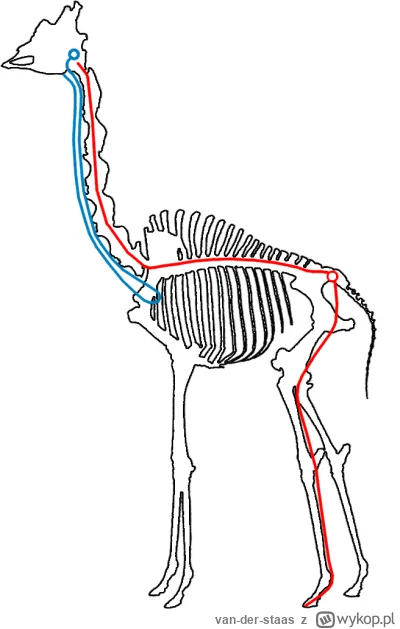 van-der-staas - @josedra52 inteligentny projekt. XD