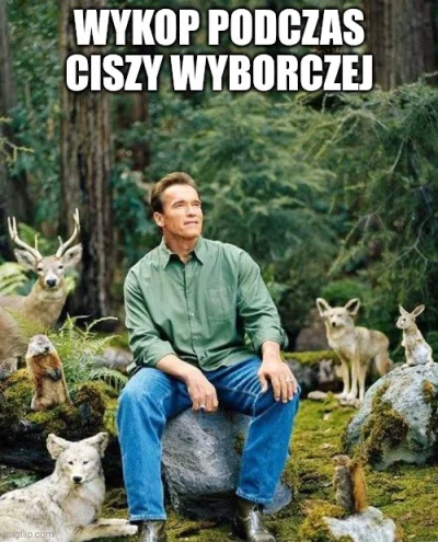 kidi1 - #wykop #takaprawda