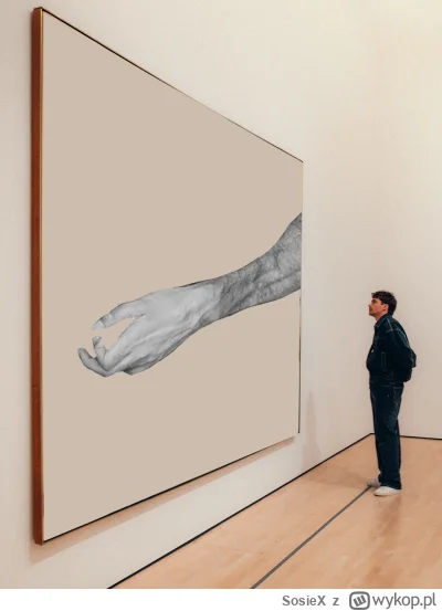 SosieX - Każdy szuka inspiracji na swój sposób

#f1 #sztukanowoczesna