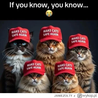 JANIEZOLTY - #aikitku