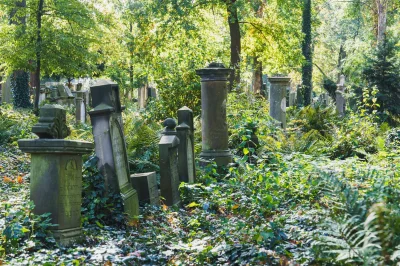 mroz3 - #dziendobry Chłodno, słonecznie.

WIATR............ północny (N) z prędkością...