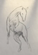 Konrad2114 - niezbyt dobrze mi wyszedł szkic konia ale to nic