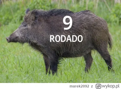 marek2092 - #wislakrakow