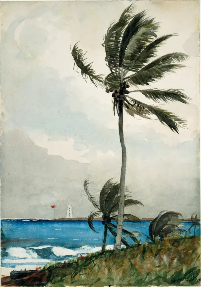 Bobito - #obrazy #sztuka #malartstwo #art

Palma, Nassau , Winslow Homer, 1898