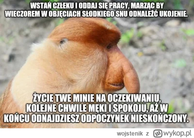 wojstenik - #konkursnanajbardziejgownianymemznosaczem