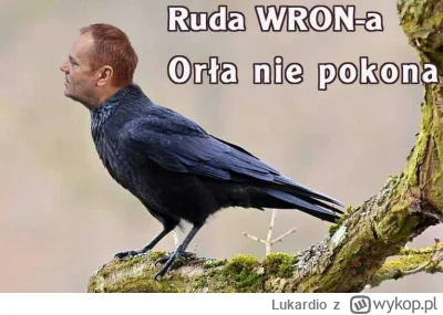 Lukardio - #protest #tvpis #tvp #neuropa #polska #polityka #neuropa #4konserwy #dobra...