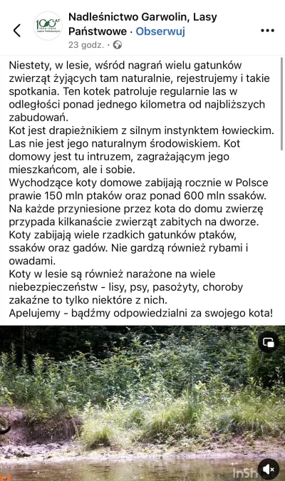 Ka4az - Myślałem, że psiarze są jebnieci, a kociarze w miarę ogarnięci XD ale te kome...