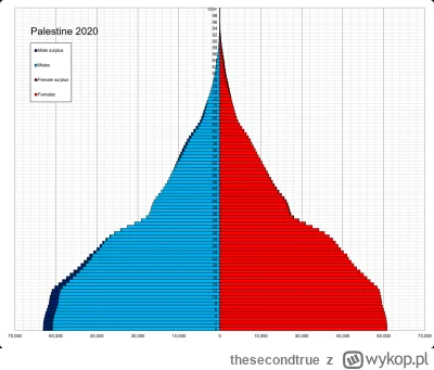 thesecondtrue - Demografia (2020)