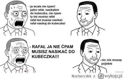 Norbercikk - Taki obraz kandydata patusa obywatelskiego. 

Błagam Was, nie s--------y...