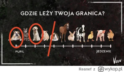 Reanef - @nieaktywny_88: ( ͡° ᴥ ͡°)