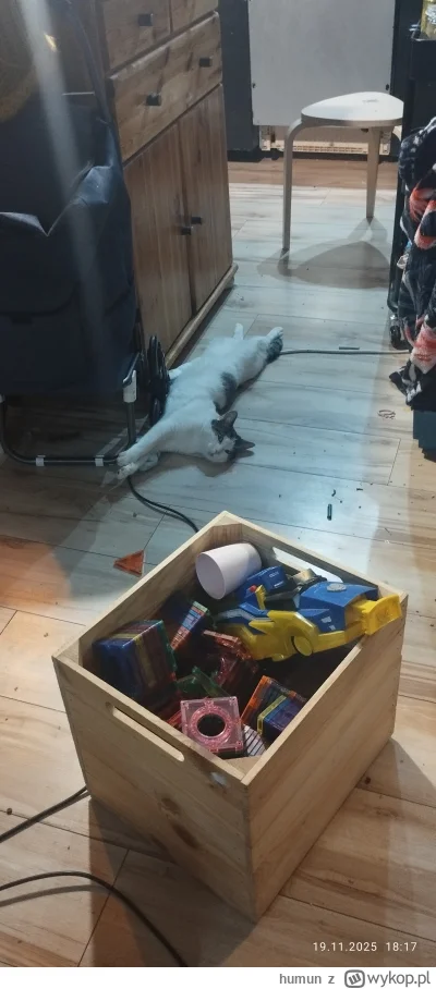 humun - #pokazkota kot przybłęda znaleziony na klatce dwa dni temu,  jakos tak dziwni...