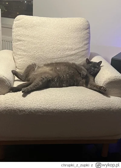 chrupkizzupki - Mega chonker
#pokazkota