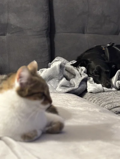 wybryknatury - @wybryknatury