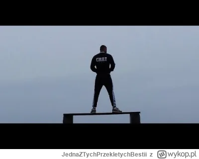 JednaZTychPrzekletychBestii - #cmaz #tdw #lso #bojowkacmaz