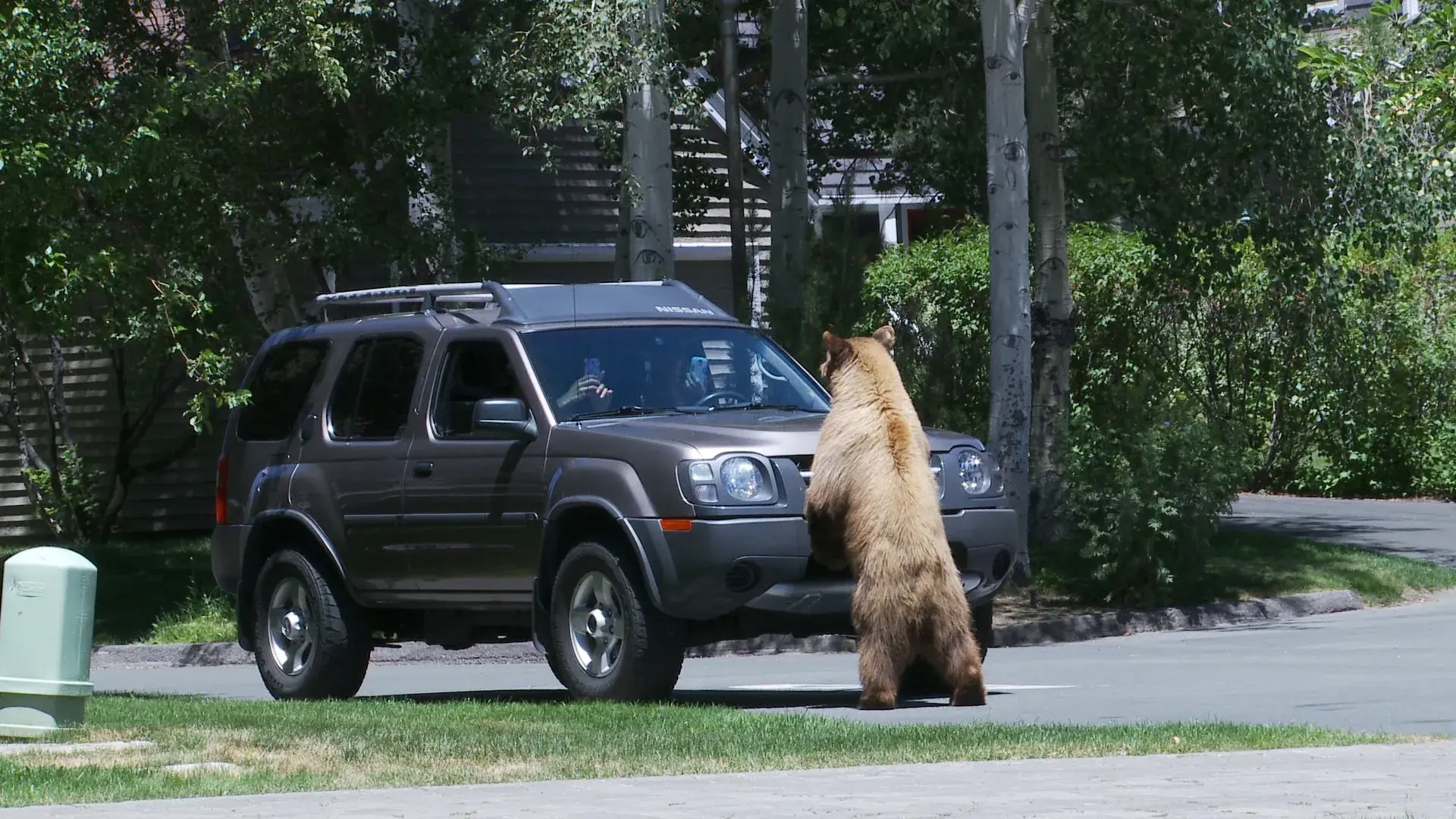 annlupin - STOP kontrola co se słuchasz teraz