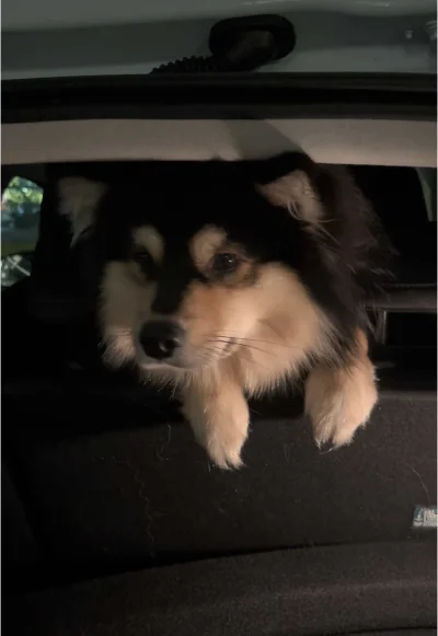 Tippler - @Blaskun: Tak. To raczej mieszanka jest, ale zachowuje się tak samo jak w o...