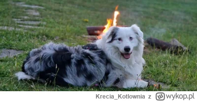 Krecia_Kotlownia - @kidi1