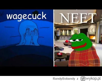 RandyBobandy - Krótki film motywacyjny dla wszystkich ciężko pracujących, pamiętajcie...