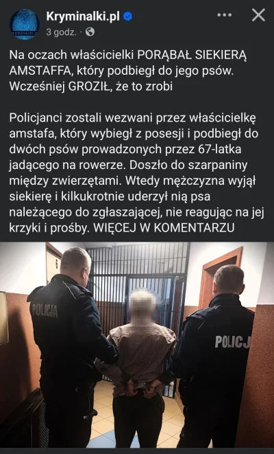MetalowyBieg - Chłop powinien medal dostać a nie dołek i sprawe w sądzie, sam mam psa...