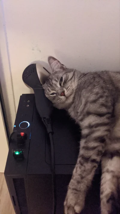 b0dyload - @b0dyload: