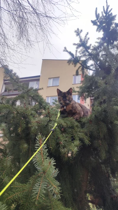 SheenaT - @blashot: powiedz to mojej zielonookiej, bo ja bym chętnie nie wychodziła z...