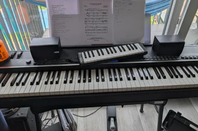 kanclerzkrolestwapaprotnikow - Szybko, przez ile młode pianino musi być przy matce za...