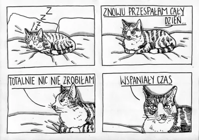 wybryk_natury - #zlodziejskiewybryki