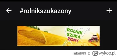 Tabak89 - @francopolo w belce tagi też żółto
