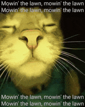 czasnawybory666 - No więc tak. Powrót do high sierry i linux okazuje się zbędny. 
1. ...