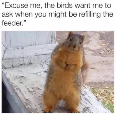 wybryk_natury - #zlodziejskiewybryki