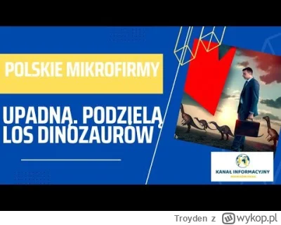 Troyden - Polskie mikrofirmy na wyginięciu. 

W średniej wielkości miastach powiatowy...