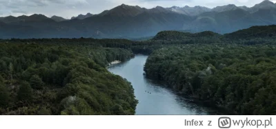 Infex - #wladcapierscieni Taki film przyrodniczy to ja rozumiem a nie jakies Avatary