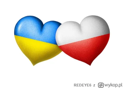 REDEYE6 - Slava Ukraini!