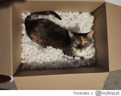 Perkotka - No nie wytrzymie...miras co mi kota w pudełku wysłał. 
Jak już zjadłam te ...