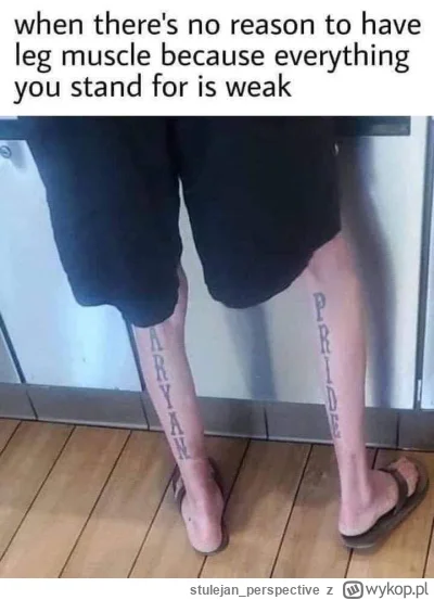 stulejan_perspective