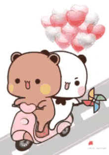 Kotouak - Jadom misie jadom