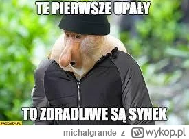 michalgrande - od jutra już będzie można usłyszeć
#pogoda #nosacz