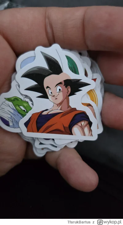 TfarukBartus - Zamówiłem naklejki z aliexpress xD

#dragonball #aliexpress #gownowpis...