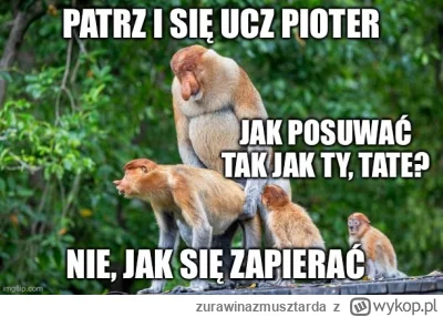 zurawinazmusztarda - Ucz się ucz bo nauka to potęgi klucz

#konkursnanajbardziejgowni...