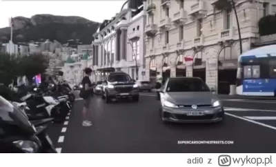 adi0 - Polacy w Monako
#motoryzacja #patologiazmiasta #heheszki