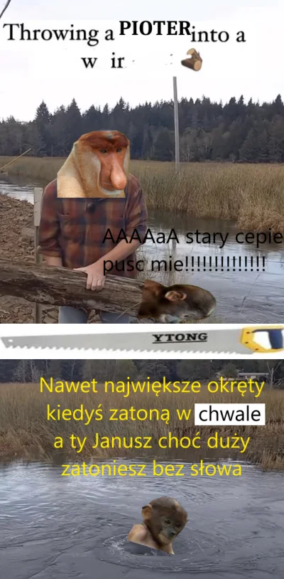 zbieraczrunalesnego - #konkursnanajbardziejgownianymemznosaczem