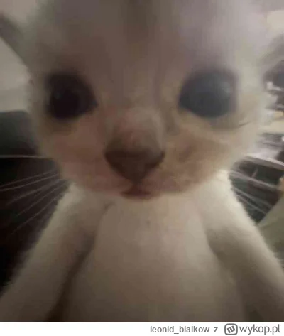 leonid_bialkow - @1X6D: hejsia