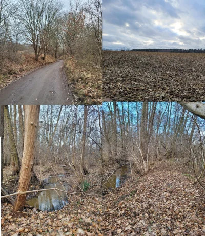 Mr3nKi - #spierdotrip zaliczony. Miałem łatwą i wygodną trase, ale wybrałem jak zwykl...