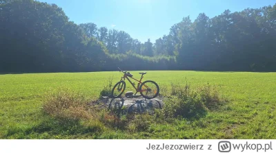 JezJezozwierz - Opłaca się czasem rano wstać :D
#rower